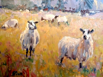 Sheep by J. Pratt